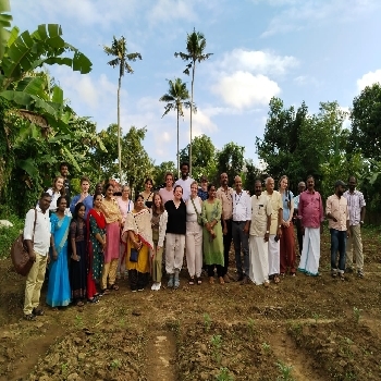 MARIGOLD CULTIVATION